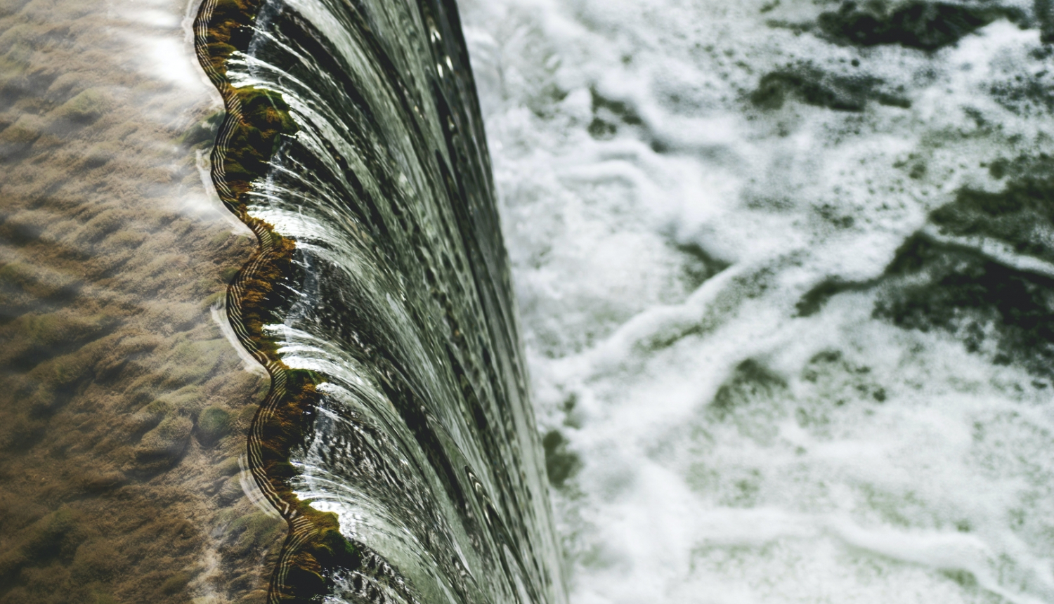 Photo by Artur Roman from Pexels