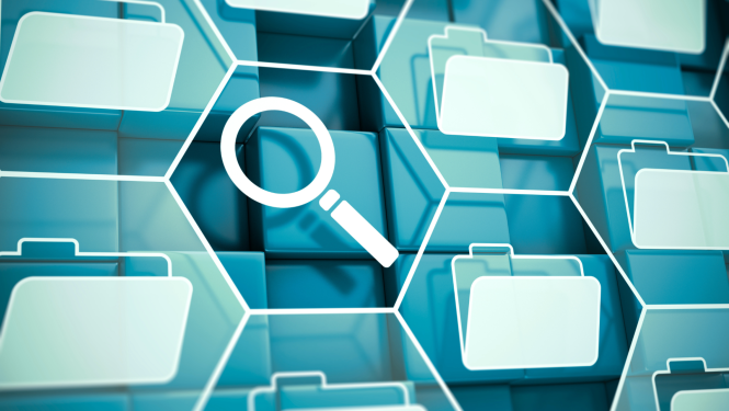 VK revīzijas vizuālis