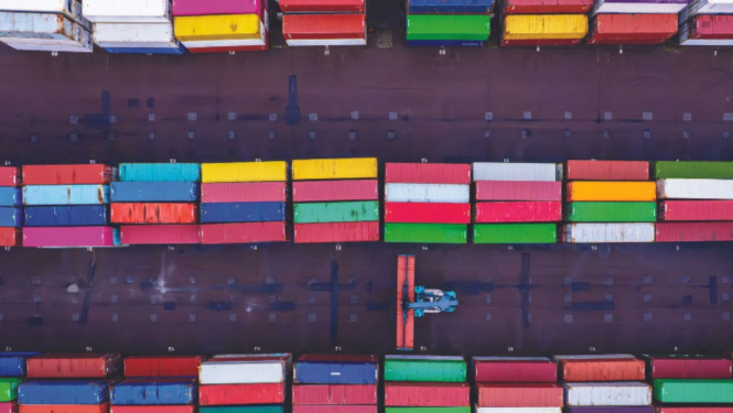 OECD pētījuma vizuālis ar ķieģeļiem valstu karogu krāsās