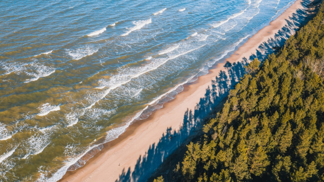 Jūra, pludmale, mežs