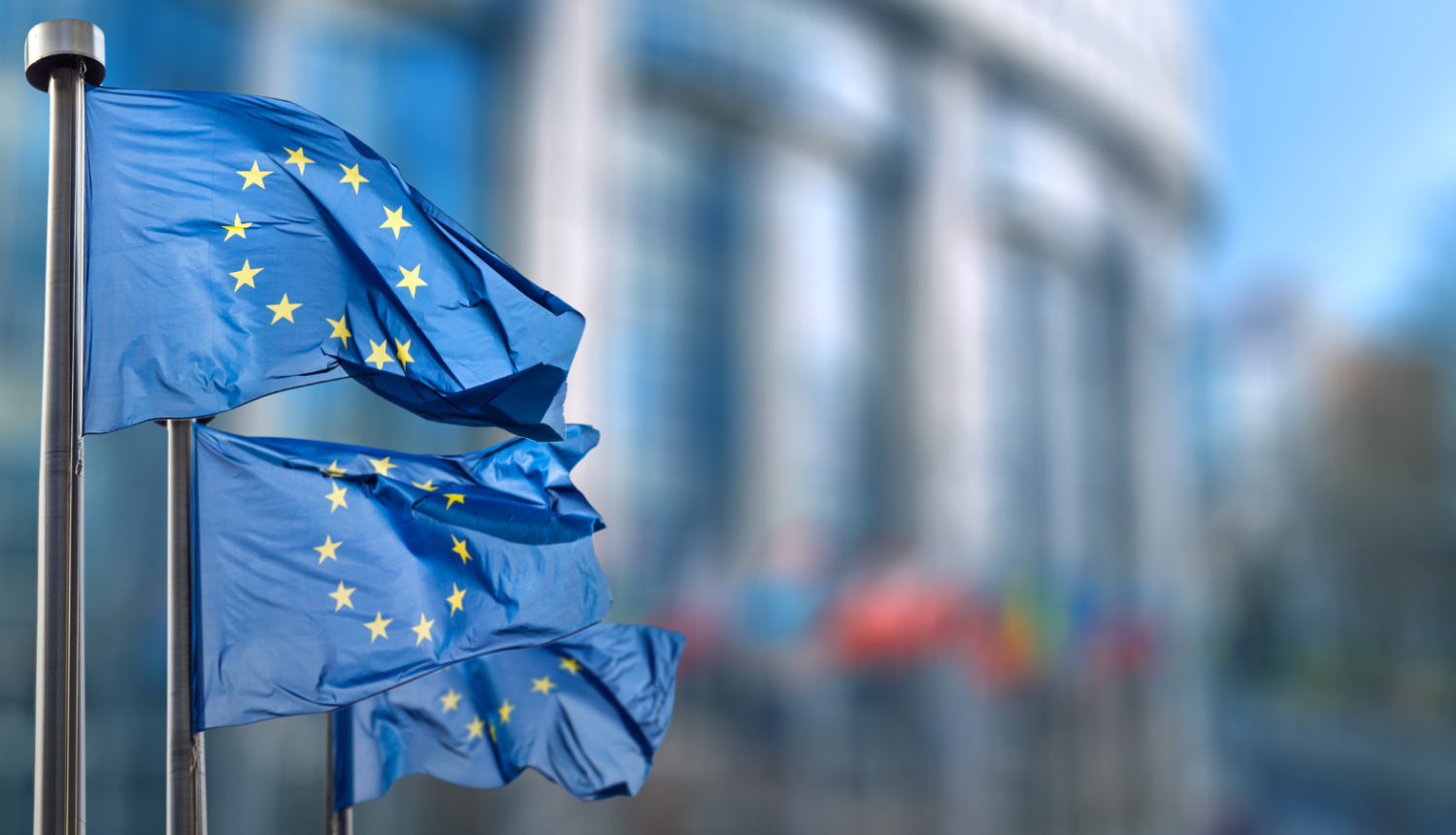 Eiropas Savienības karogi