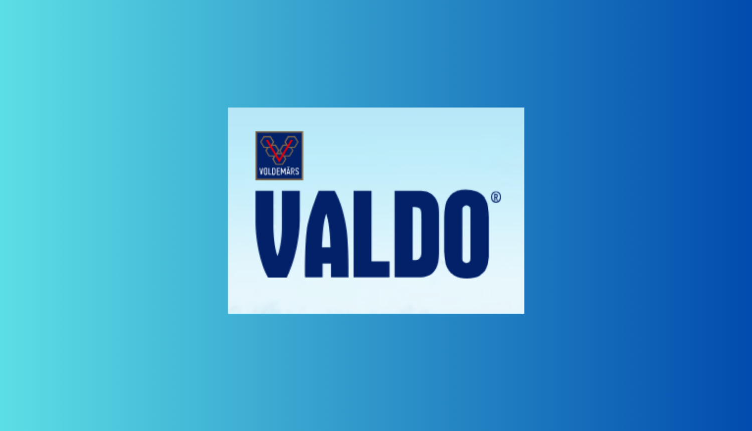 VALDO logo