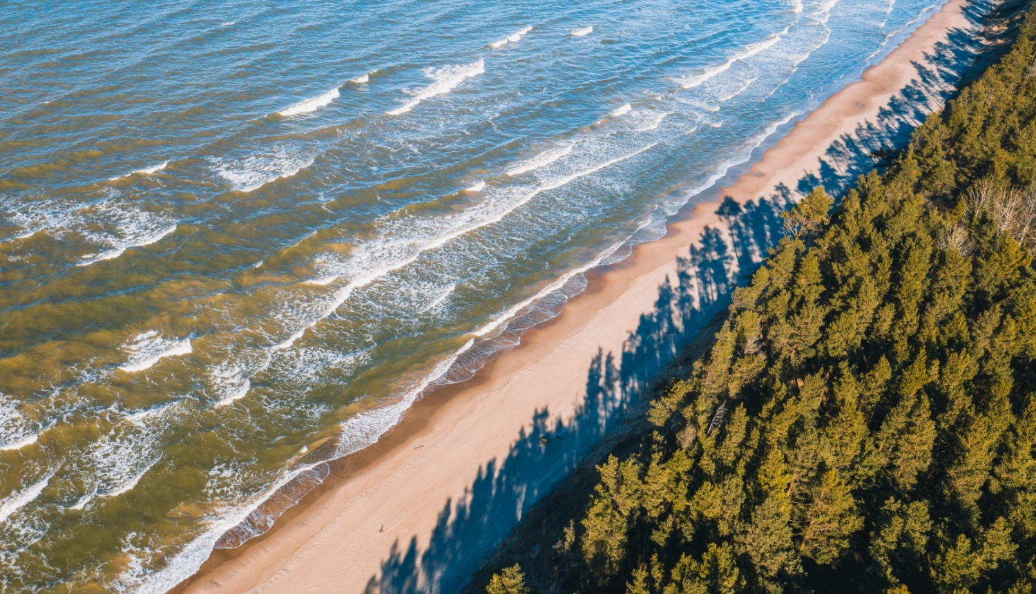 Jūra, pludmale, mežs