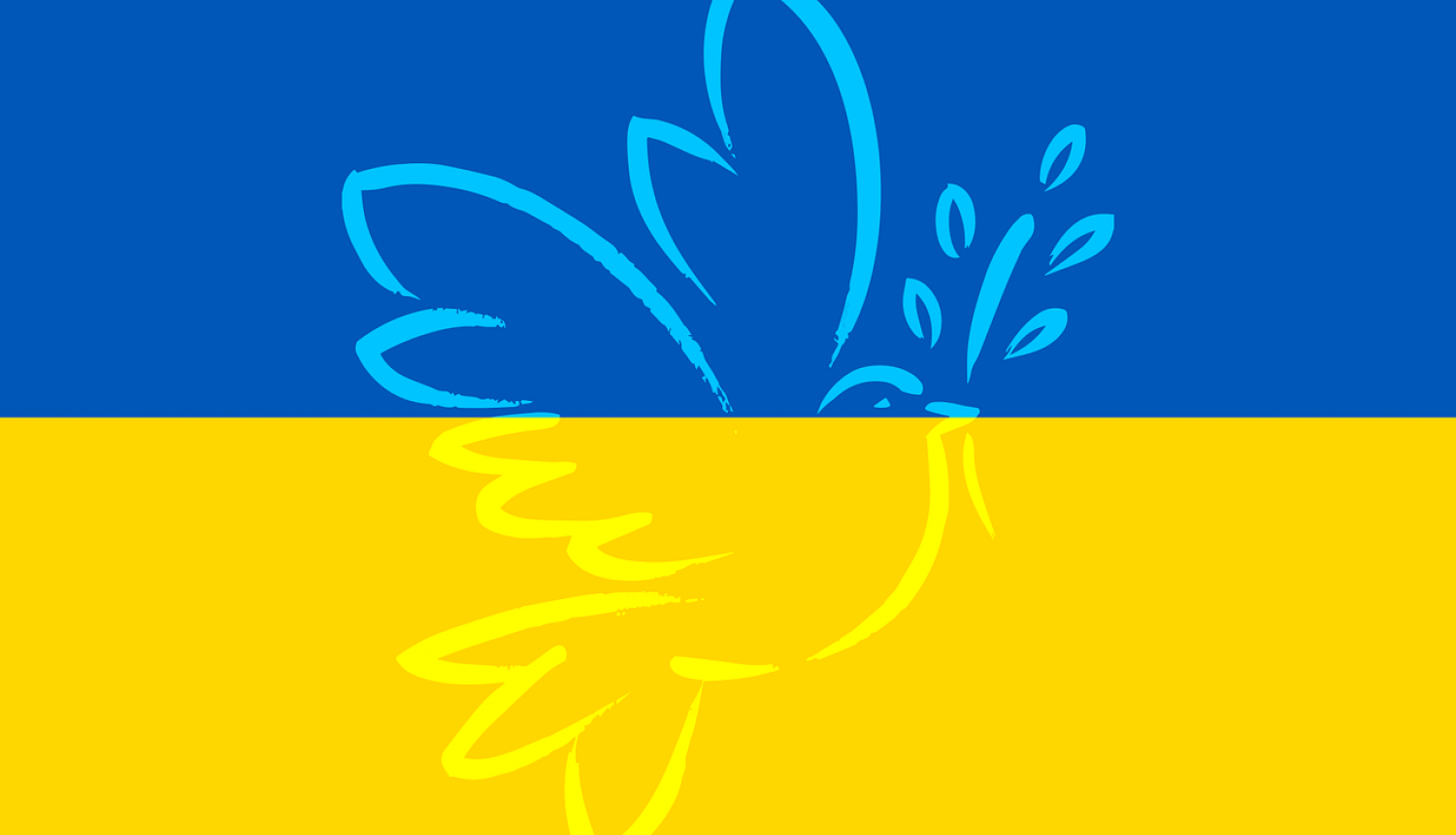 Ukrainas karogs